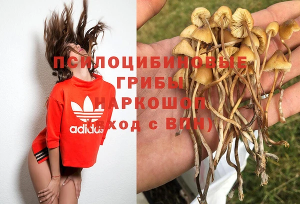 бутират Алзамай