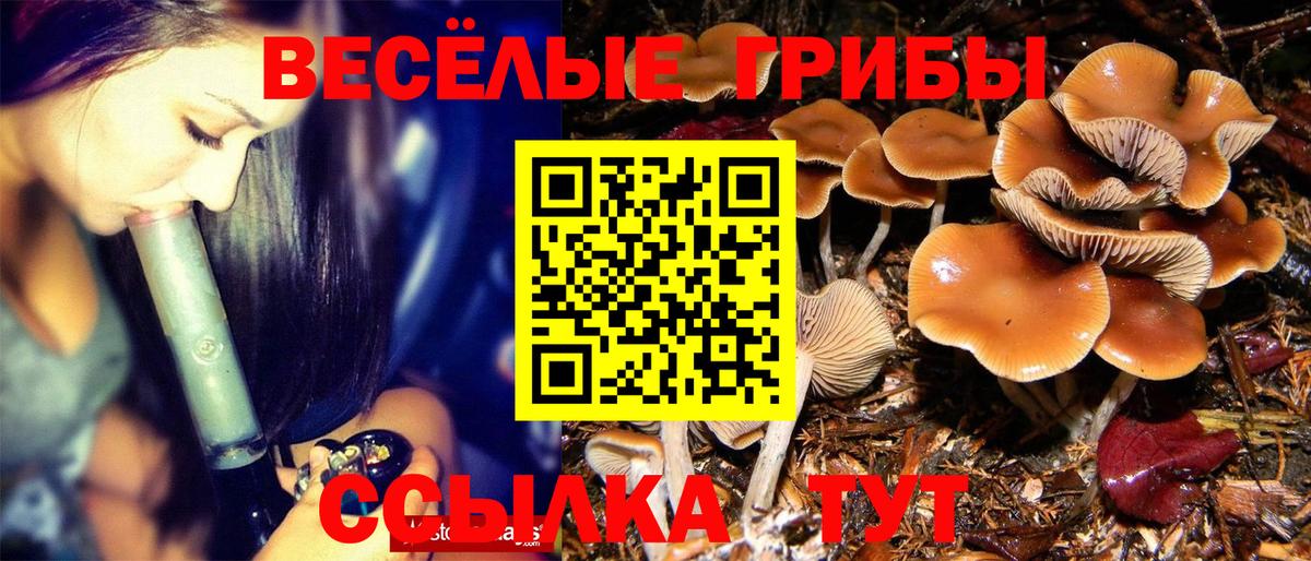 Псилоцибиновые грибы мицелий Канск