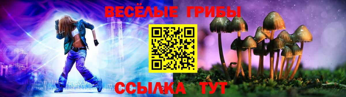 Псилоцибиновые грибы Cubensis  Псилоцибиновые грибы ЛСД  Канск  Вход с VPN 