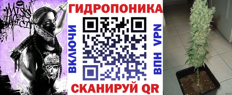 Конопля Bruce Banner  купить наркотики цена  Канск 
